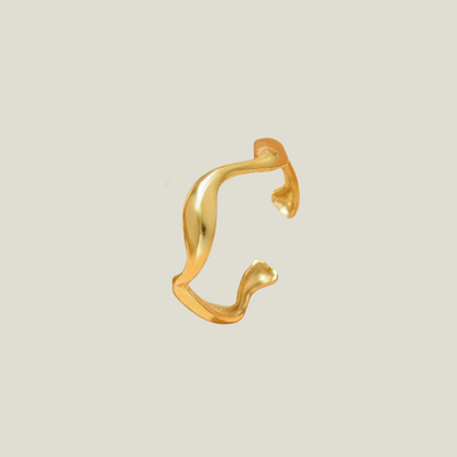 Anillo Olbia